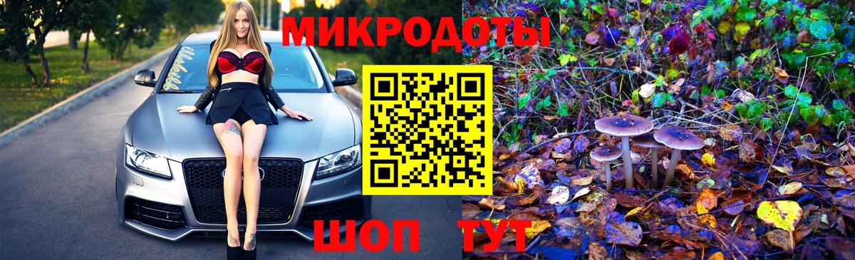 Псилоцибиновые грибы GOLDEN TEACHER  цена наркотик  Коркино  Вход с VPN  Псилоцибиновые грибы Psilocybe 